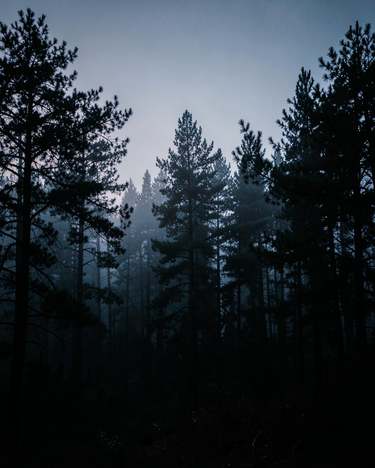 Dark & Moody photography style